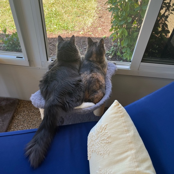 Meet your Posher, Maureen - Picture 4 of 6